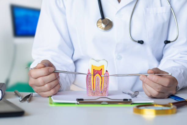 Best Emergency Dental Services for Seniors in Villa Ridge, MO